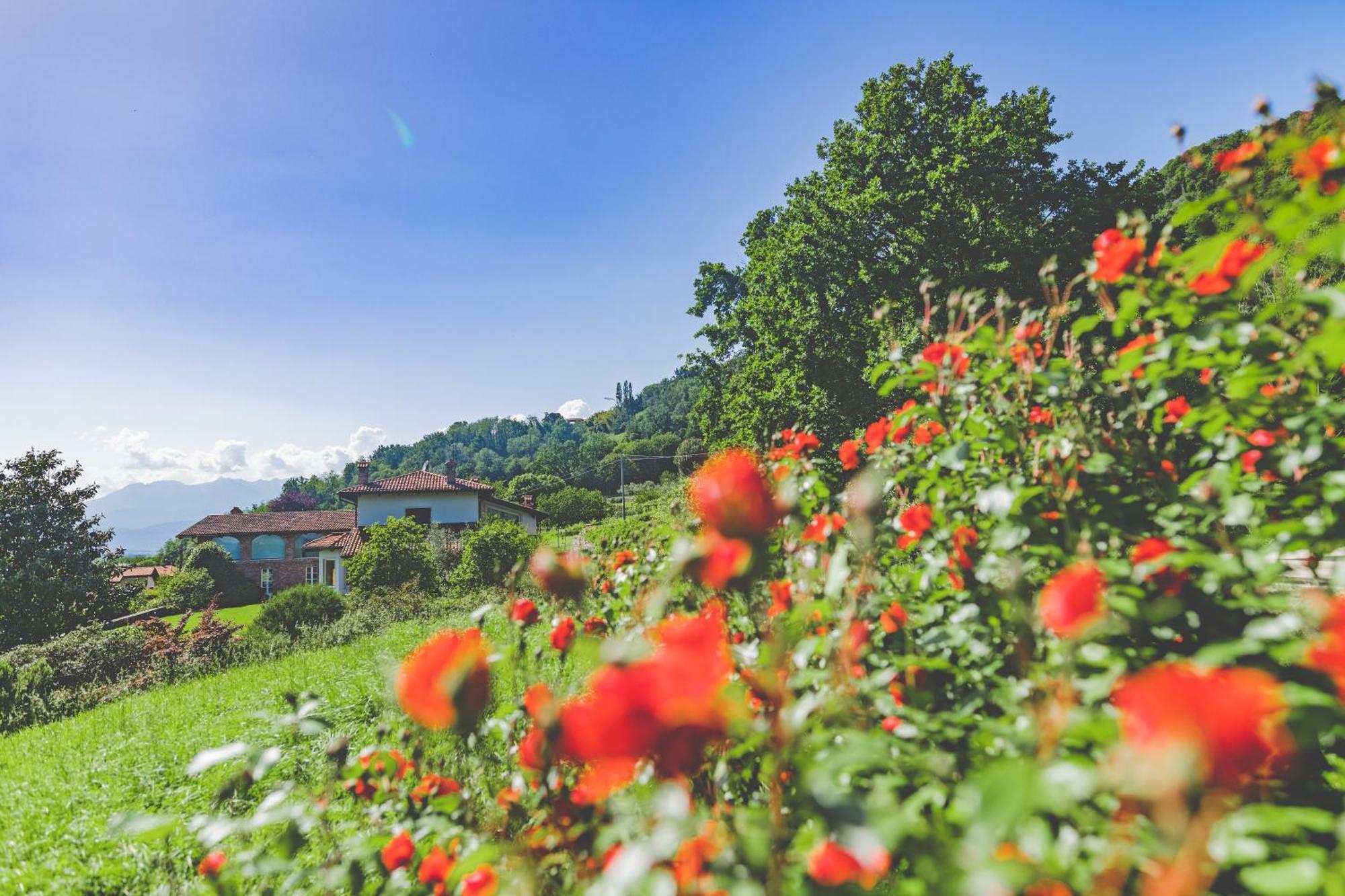 Myvilla Suites Palazzo Canavese Ngoại thất bức ảnh